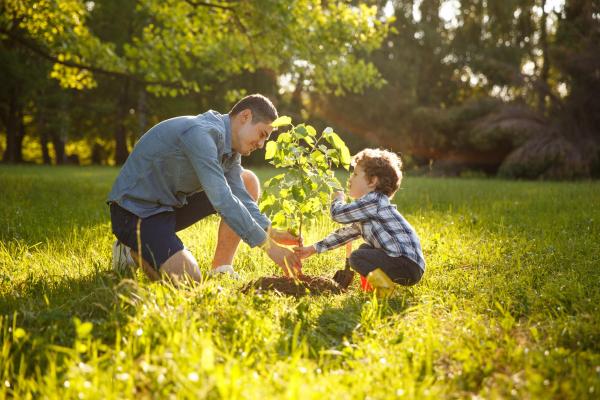 What Is Diatomaceous Earth or Diatomite? - What is diatomaceous earth or diatomite used for?