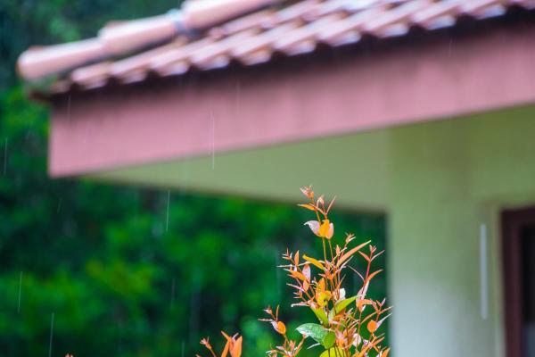 What Is the Difference Between Rain and Drizzle? - What is drizzle?