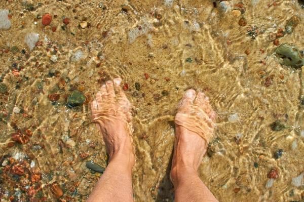 What Is Ecotherapy? - What is Ecotherapy?