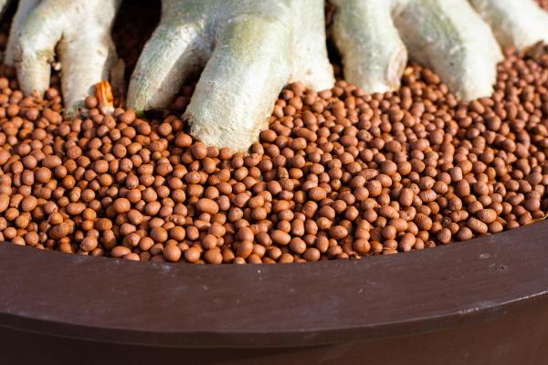 What Is Arlita or Expanded Clay for Plants? - What is expanded clay or Arlita?