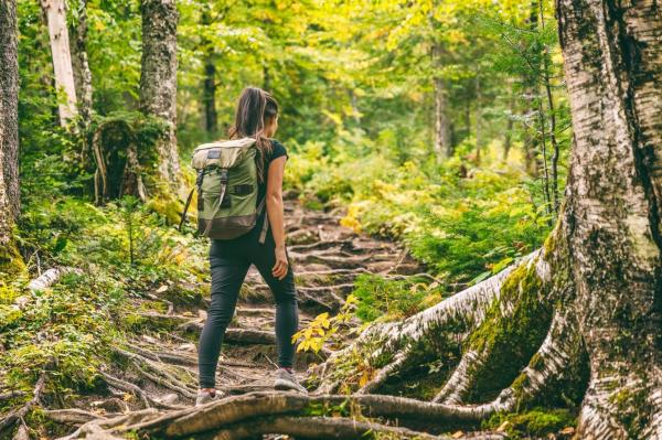 Forest Bathing - Discover the Power of Shinrin-yoku - What is forest bathing or Shinrin-Yoku?