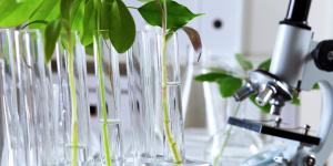 What Is Green Biotechnology?