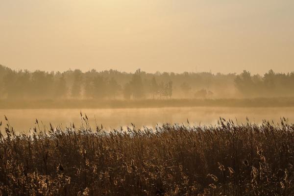 What Is Haze Weather? - Meaning and Effects - What is haze weather?