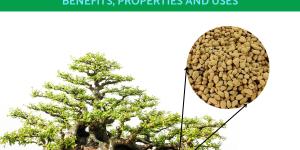 What is Kiryuzuna Bonsai Soil?