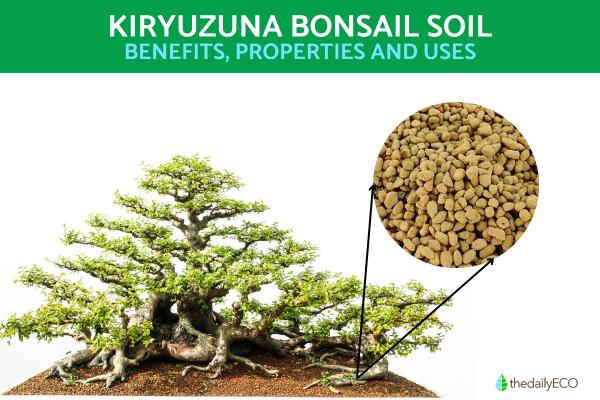 What is Kiryuzuna Bonsai Soil?