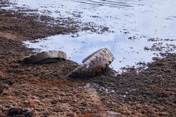 What Is Leachate?