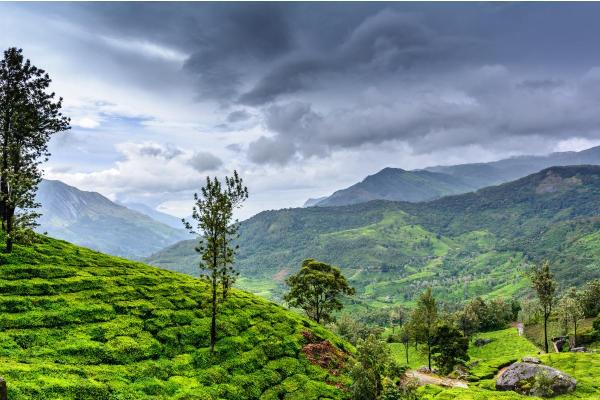 What Is Monsoon Climate? - What is monsoon climate?