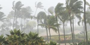 What Is Monsoon Climate?