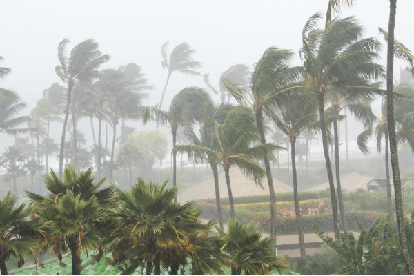 What Is Monsoon Climate?