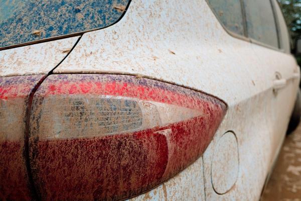 What Is Mud Rain? - Causes of Rain Dust - What is mud rain?