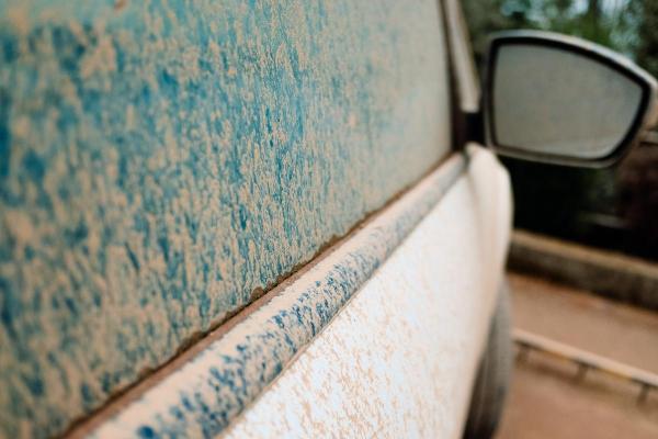 What Is Mud Rain? - Causes of Rain Dust