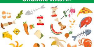 What Is Organic Waste?