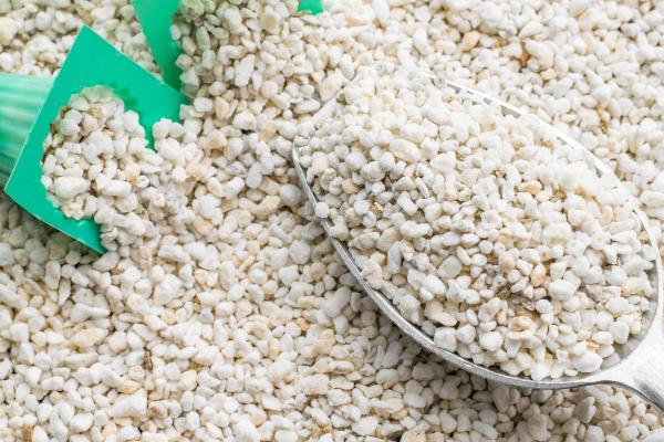 Which Is Better Perlite or Vermiculite? - What is perlite?