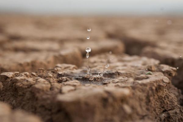 Why Does Rain Have a Certain Smell? - What is petrichor or smell of rain?