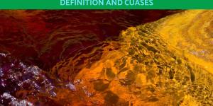 What Is Red Tide and What Causes It?