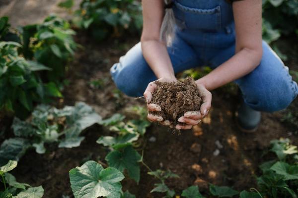 What Is Regenerative Farming? - Principles and Examples - What is regenerative farming?