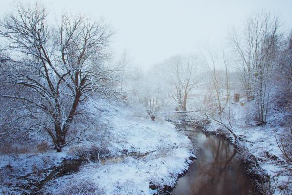 What Is Rime Ice and How Is It Formed? - What is rime ice?