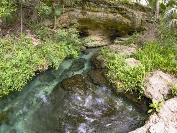 Salinization of Aquifers - Saline Aquifer Causes - What is salinization of aquifers?