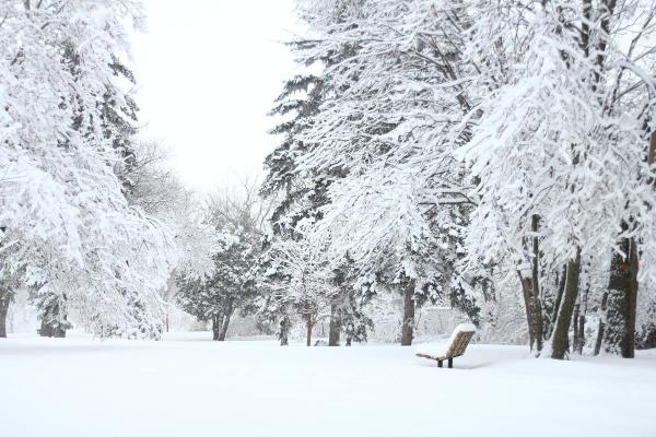 Types of Snow - Names and Formation - What is snow?
