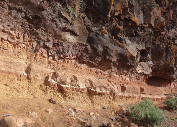 What is Soil Science Study? - Definition and Importance - What is soil science and what does it study?