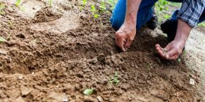 What is Soil Science Study? - Definition and Importance