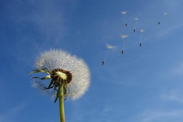 What Makes up the Air We Breathe? - What is the air made of?