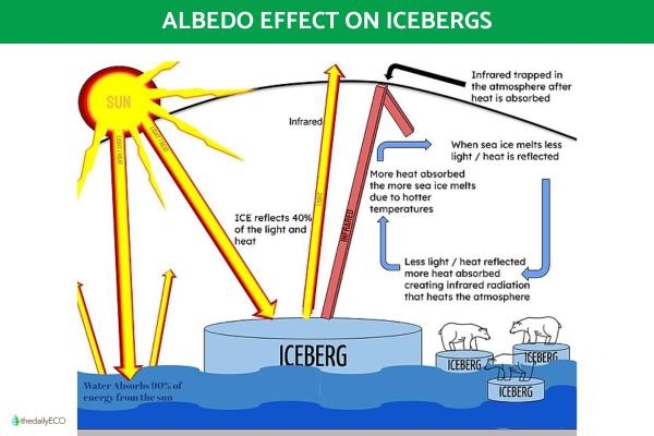 What Is the Albedo Effect on Climate? - What is the albedo effect?