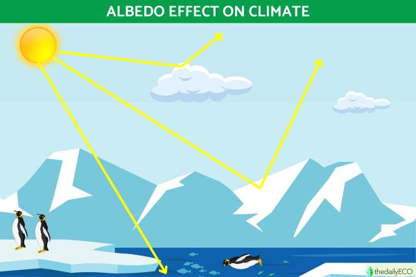 What Is the Albedo Effect on Climate?