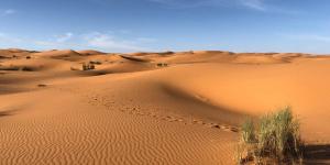 What Is the Climate in the Desert Like?