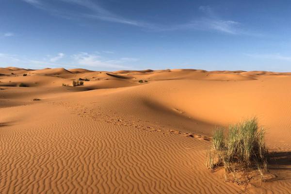 What Is the Climate in the Desert Like?