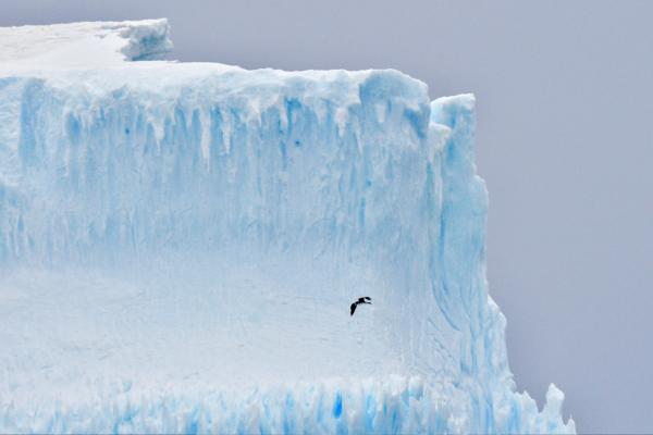What Is the Cryosphere? - What is the cryosphere?