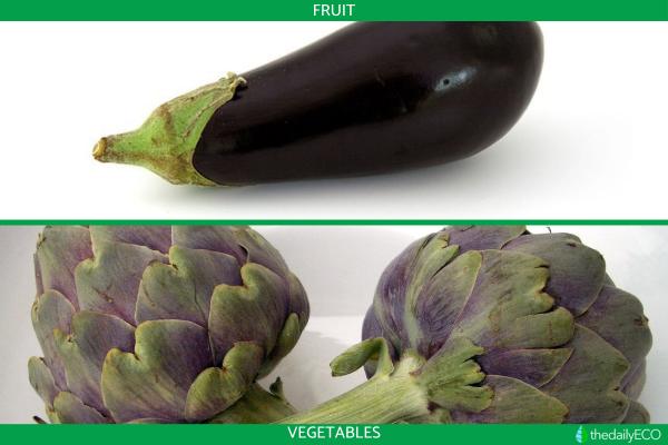 Difference Between a Fruit vs. Vegetable - What is the difference between a fruit vs. vegetable?