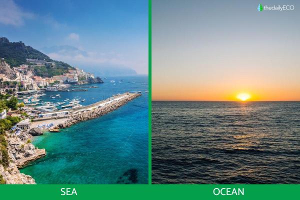 What Is the Difference Between an Ocean and a Sea?