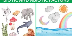What Is the Difference Between Biotic and Abiotic Factors?