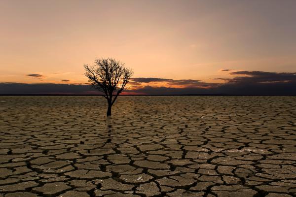 Difference Between Climate Change and Global Warming - What is the difference between climate change and global warming?