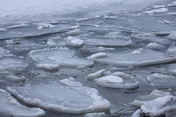 Why Does Ice Float on Water? - What is the difference between ice and water?
