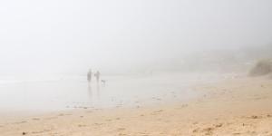 What Is the Difference Between Mist, Fog and Mist?