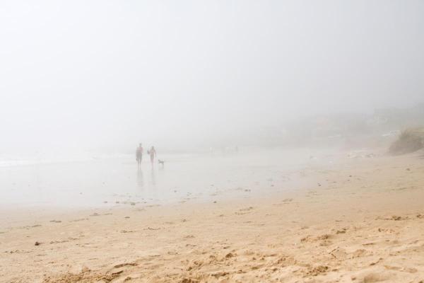 What Is the Difference Between Mist, Fog and Mist?