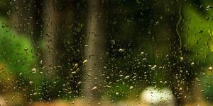 What Is the Difference Between Rain and Drizzle?