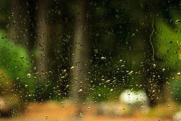 What Is the Difference Between Rain and Drizzle?