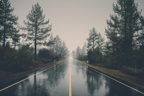 What Is the Difference Between Rain and Drizzle? -