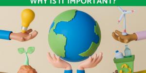 What Is the Environment and Why Is It Important?