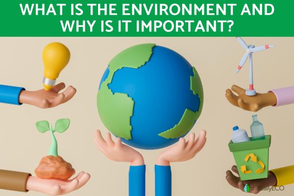 What Is the Environment and Why Is It Important?