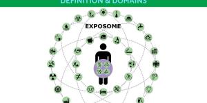 What is the Exposome? - Definition and Domains