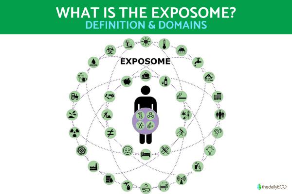 What is the Exposome? - Definition and Domains