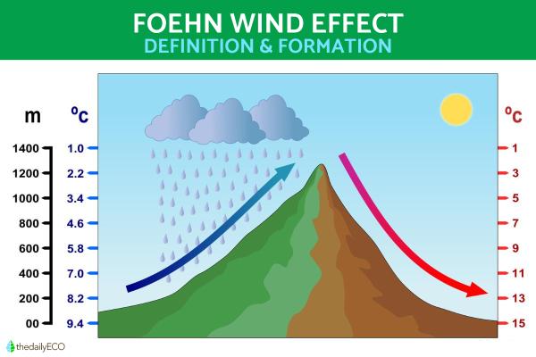 What Is the Foehn Effect? - Foehn Wind Definition