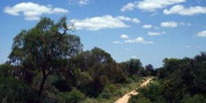 What Is the Gran Chaco?