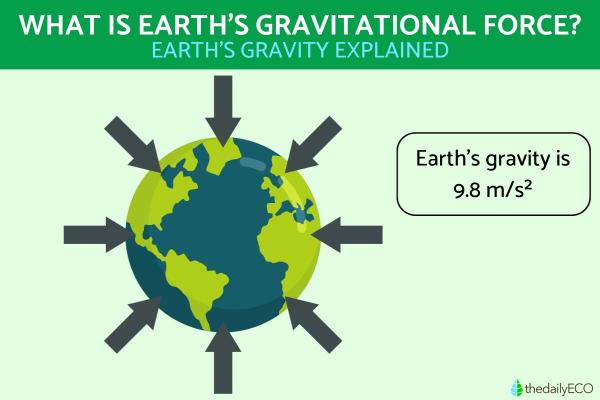 What Is the Gravitational Force of Earth?