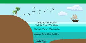 What Is the Hadal Zone?