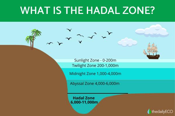 What Is the Hadal Zone?